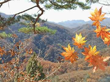 俄称乌无人机袭击俄喀山系报复，俄称乌无人机袭击俄喀山系报复